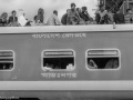 DSC8313