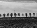 DSC_0698