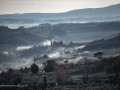 DSC_4451