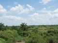 Uganda-7