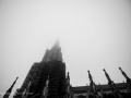 DSC_4279