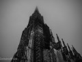 DSC_4301