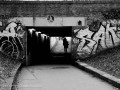 DSC_4259