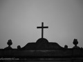 DSC_0257