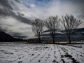 DSC_0175