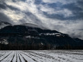 DSC_0176