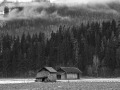 DSC_0187