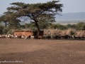 Masai-Village-13