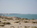 west sahara-16