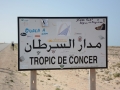 west sahara-24