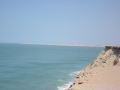 west sahara-26