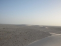 west sahara-40