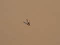 west sahara-43