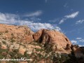 DSC5002